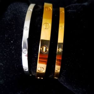 Gold Filled Stainless Steel Bangle 4mm